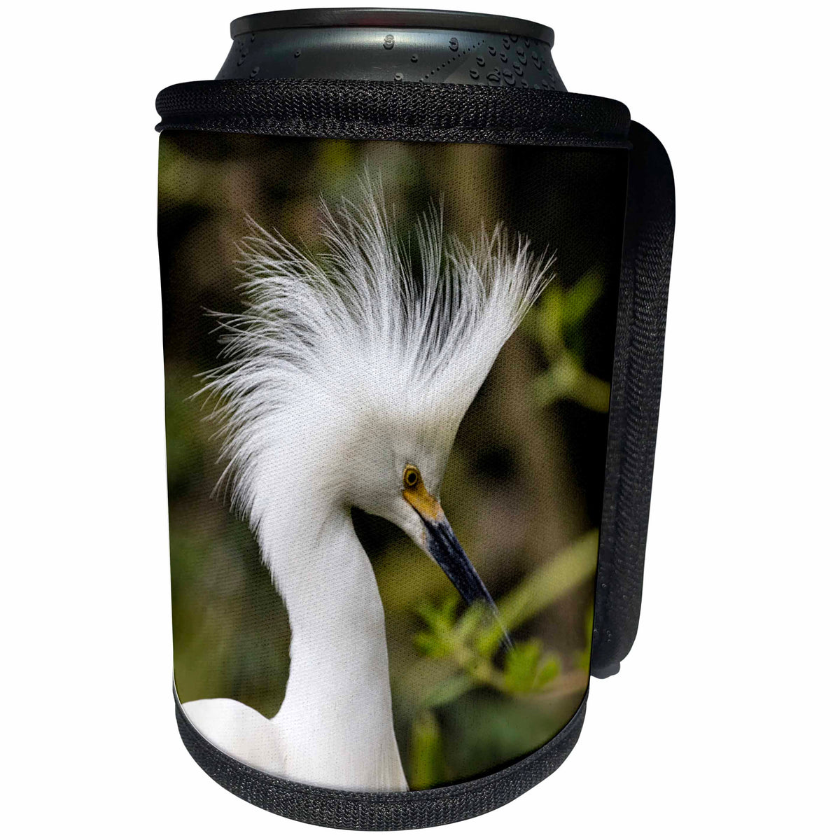 3dRose Danita Delimont - Birds - Nesting snowy egrets on Alcatraz Island, San Francisco, California - Can Cooler Bottle Wrap (cc_258861)
