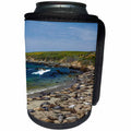 3dRose Danita Delimont - Seals - California, Big Sur, Piedras Blancas rookery, Northern Elephant Seals - Can Cooler Bottle Wrap (cc_258863)