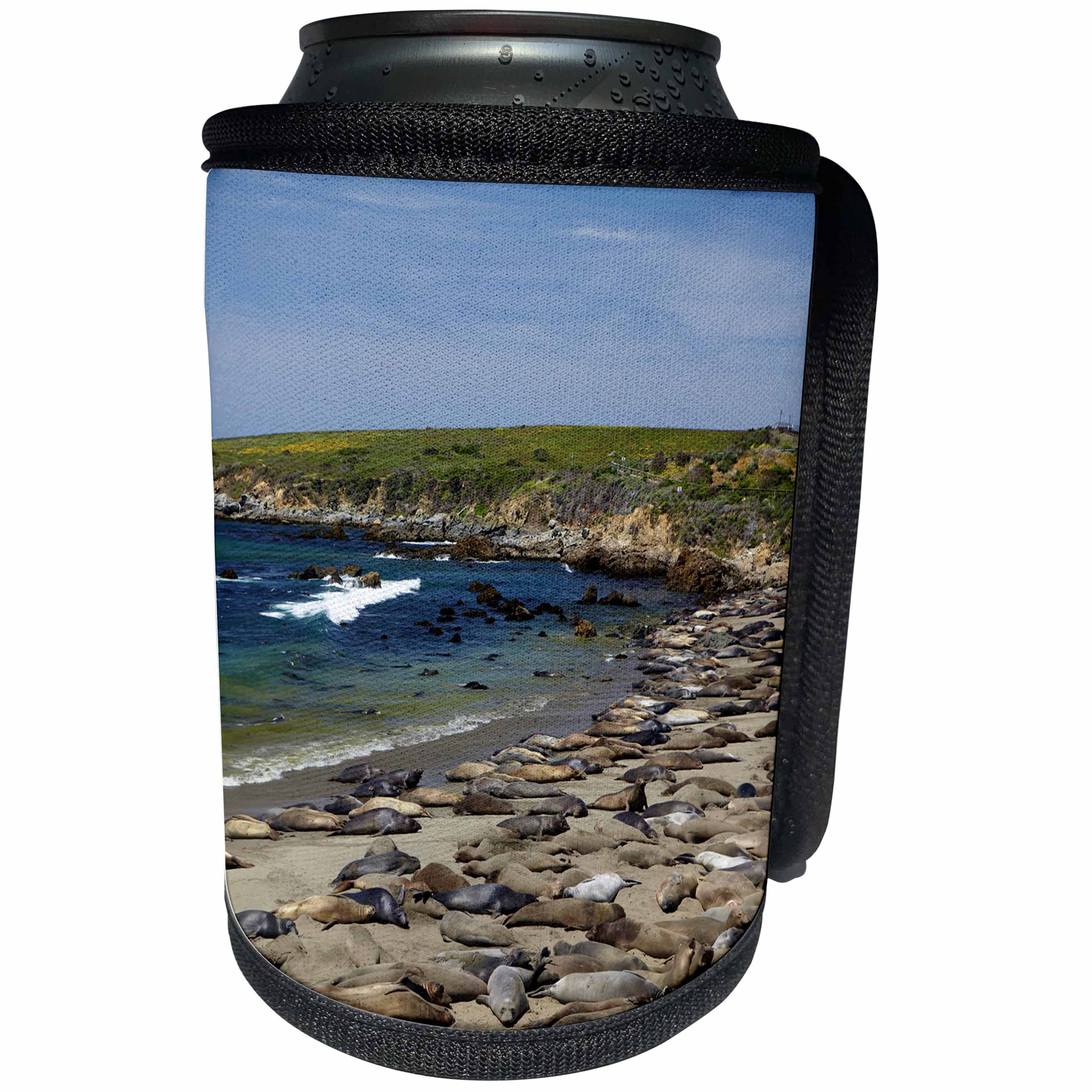 3dRose Danita Delimont - Seals - California, Big Sur, Piedras Blancas rookery, Northern Elephant Seals - Can Cooler Bottle Wrap (cc_258863)