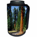 3dRose Danita Delimont - Trees - General Sherman tree in the background, Sequoia NP, California - Can Cooler Bottle Wrap (cc_258869)