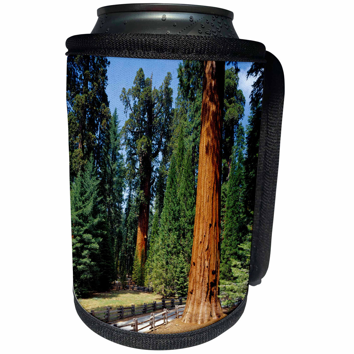 3dRose Danita Delimont - Trees - General Sherman tree in the background, Sequoia NP, California - Can Cooler Bottle Wrap (cc_258869)