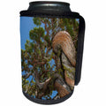 3dRose Danita Delimont - Trees - Ancient Juniper Tree near Echo Lake, California - Can Cooler Bottle Wrap (cc_258870)