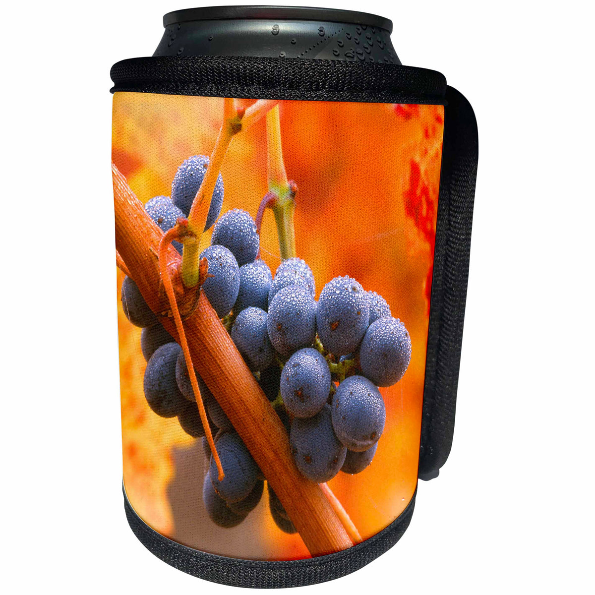 3dRose Danita Delimont - Vineyards - California, Napa Valley, dew on cabernet grapes in autumn vineyard - Can Cooler Bottle Wrap (cc_258871)