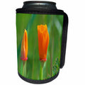 3dRose Danita Delimont - Flowers - California golden poppies about to bloom - Can Cooler Bottle Wrap (cc_258873)