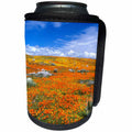 3dRose Danita Delimont - Flowers - Wildflowers at the California Poppy Reserve near Lancaster, California - Can Cooler Bottle Wrap (cc_258878)