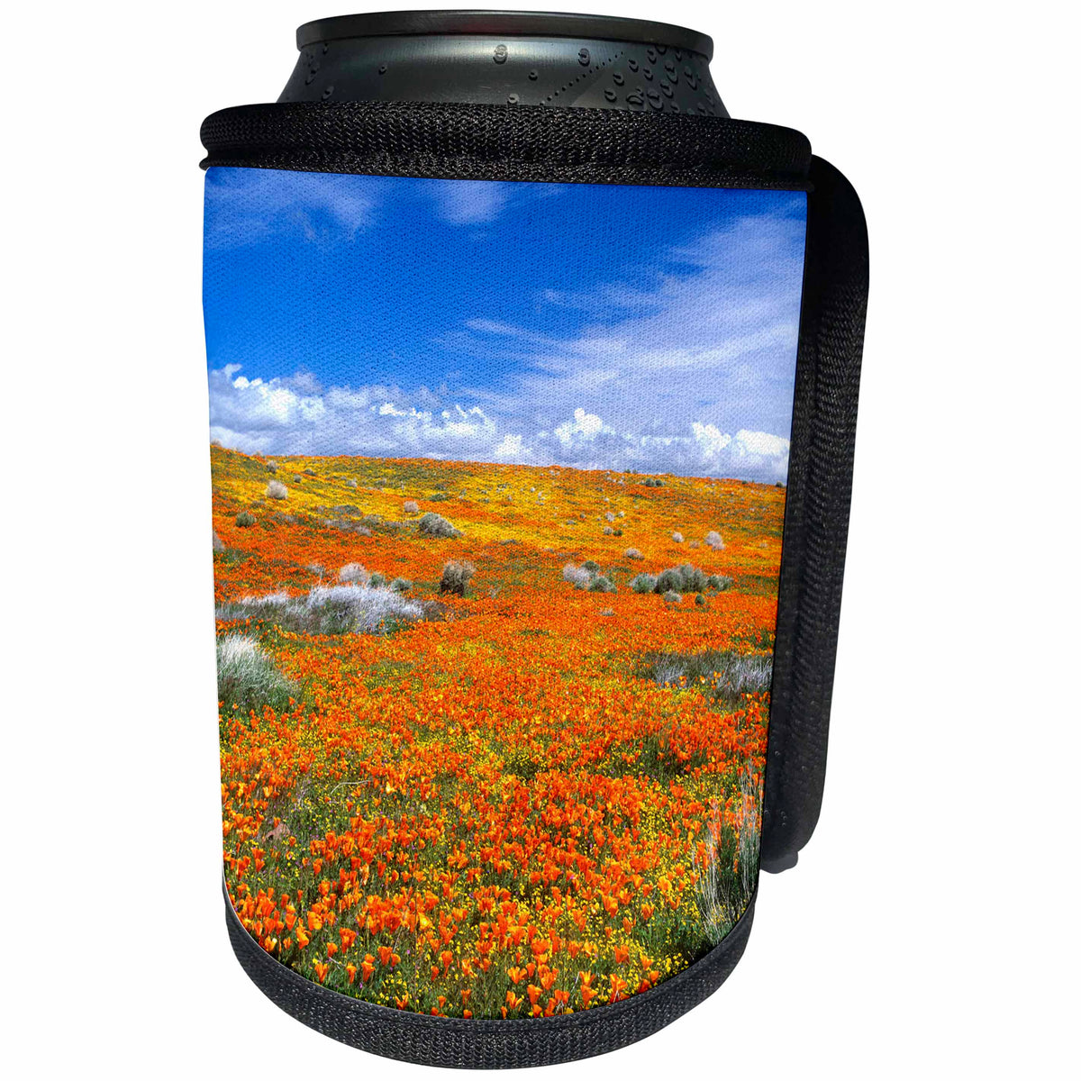3dRose Danita Delimont - Flowers - Wildflowers at the California Poppy Reserve near Lancaster, California - Can Cooler Bottle Wrap (cc_258878)