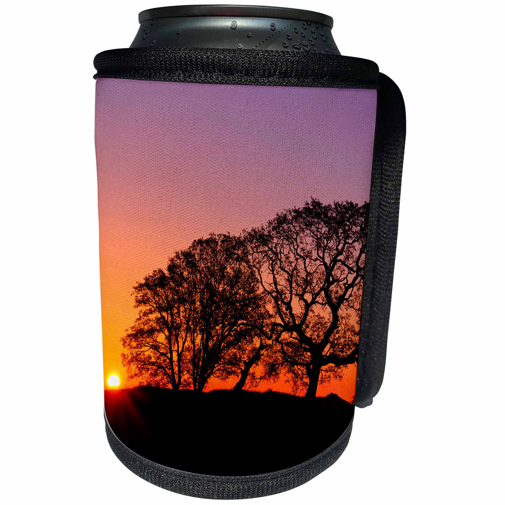 3dRose Danita Delimont - Sunrises - California, Coast Range Mountains, Sunrise silhouettes oak trees. - Can Cooler Bottle Wrap (cc_258885)