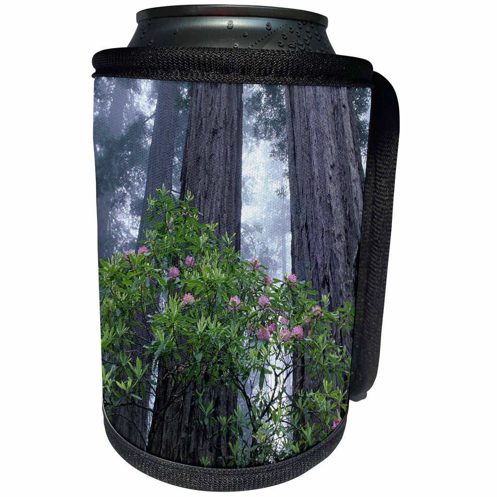 3dRose Danita Delimont - Trees - CA, Del Norte Coast Redwoods SP, Wild Rhododendrons with Redwoods - Can Cooler Bottle Wrap (cc_258892)