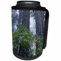 3dRose Danita Delimont - Trees - CA, Del Norte Coast Redwoods SP, Wild Rhododendrons with Redwoods - Can Cooler Bottle Wrap (cc_258892)