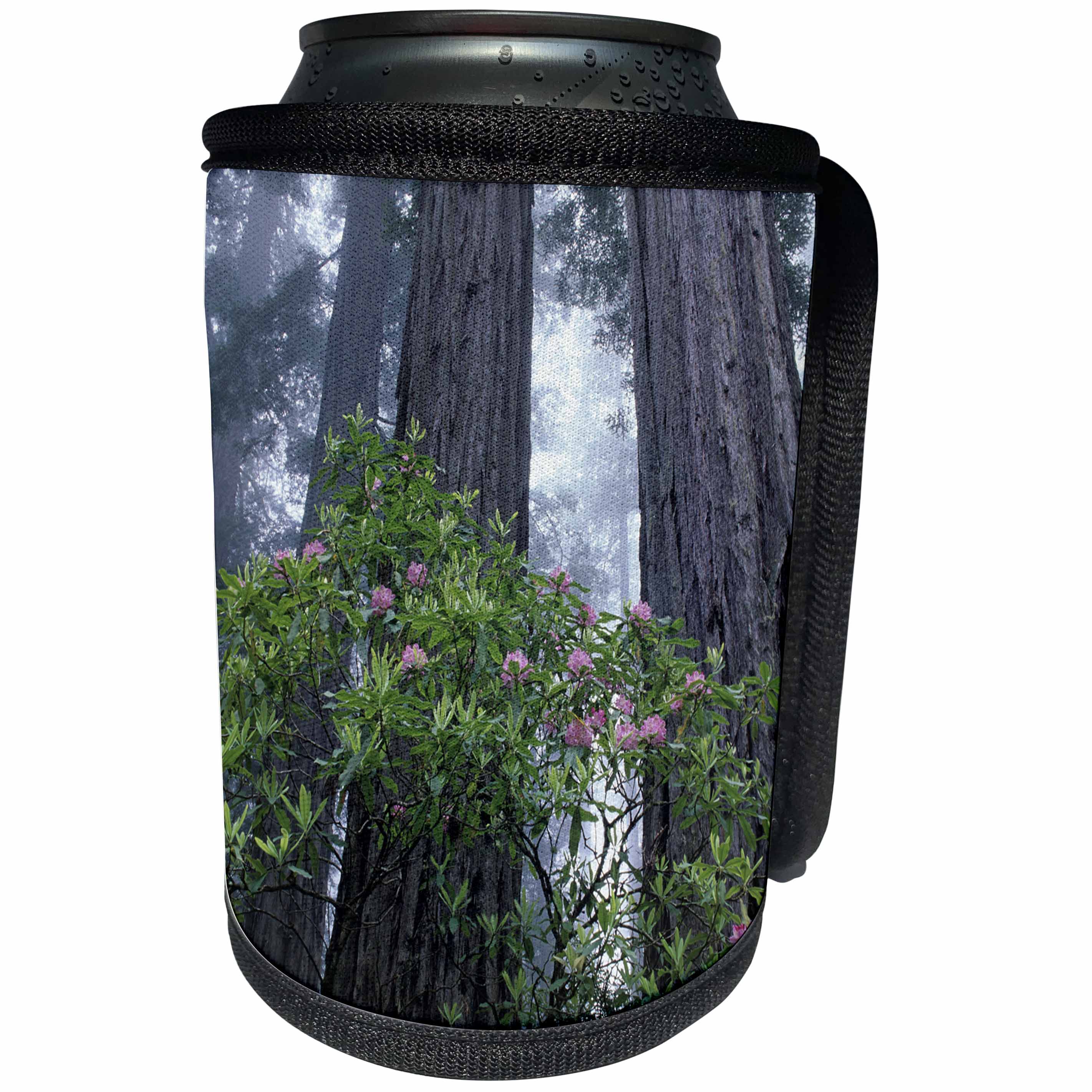 3dRose Danita Delimont - Trees - CA, Del Norte Coast Redwoods SP, Wild Rhododendrons with Redwoods - Can Cooler Bottle Wrap (cc_258892)