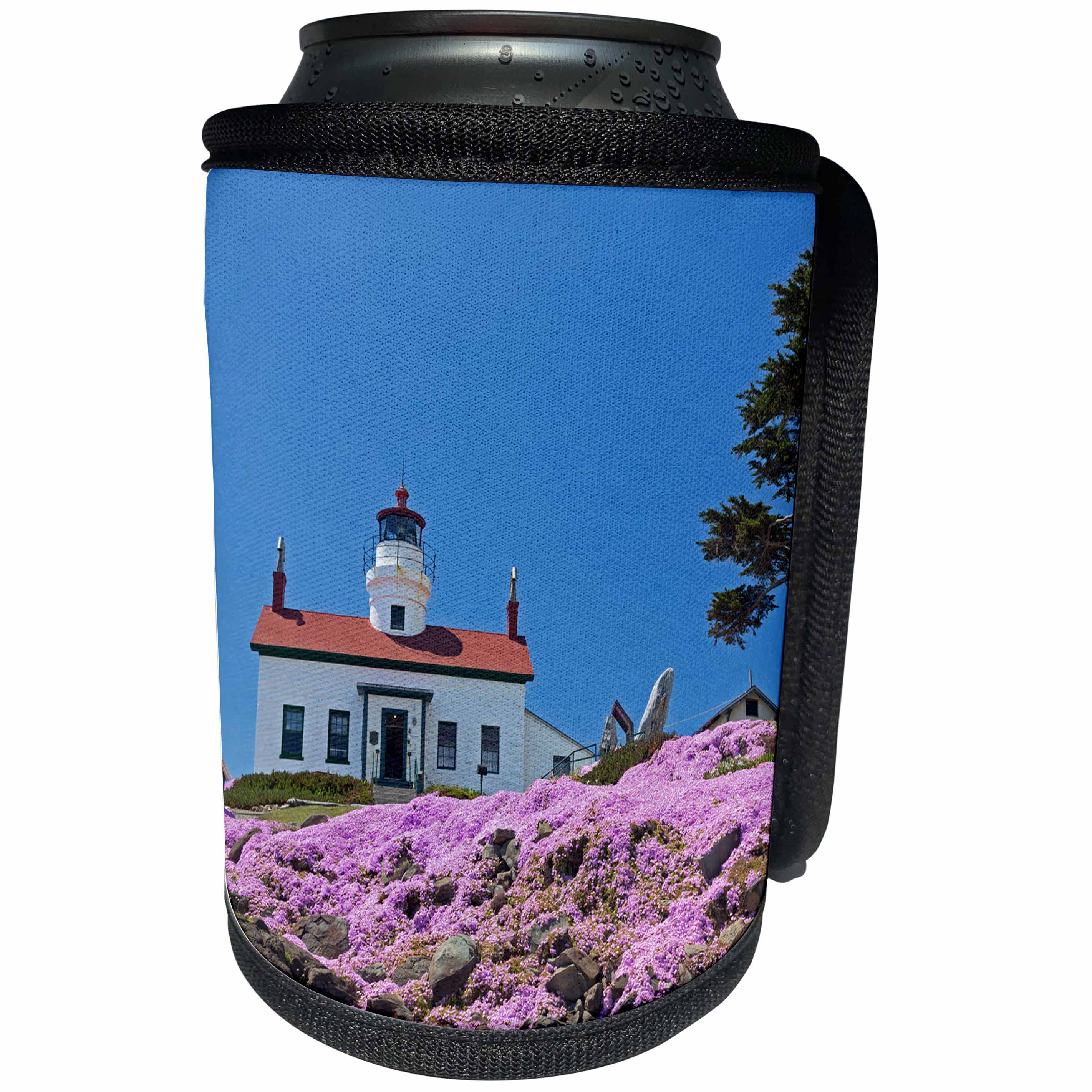3dRose Danita Delimont - lighthouses - California, Battery Point Lighthouse, Ice Plants in full bloom - Can Cooler Bottle Wrap (cc_258895)