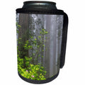 3dRose Danita Delimont - Trees - California, Del Norte Coast Redwoods, redwood trees with rhododendrons - Can Cooler Bottle Wrap (cc_258897)