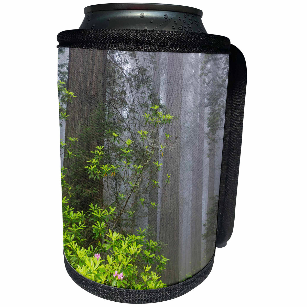 3dRose Danita Delimont - Trees - California, Del Norte Coast Redwoods, redwood trees with rhododendrons - Can Cooler Bottle Wrap (cc_258897)
