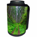 3dRose Danita Delimont - Roads - California, Del Norte Coast, Damnation Creek Trail and Redwood trees - Can Cooler Bottle Wrap (cc_258901)