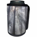 3dRose Danita Delimont - Trees - California, Del Norte Coast Redwoods SP, redwoods with sunbeams - Can Cooler Bottle Wrap (cc_258906)