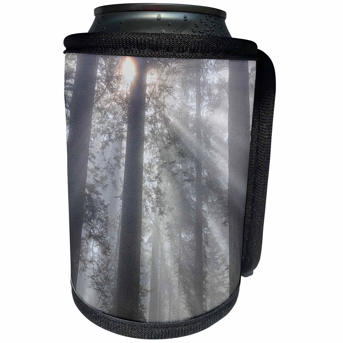 3dRose Danita Delimont - Trees - California, Del Norte Coast Redwoods SP, redwoods with sunbeams - Can Cooler Bottle Wrap (cc_258906)