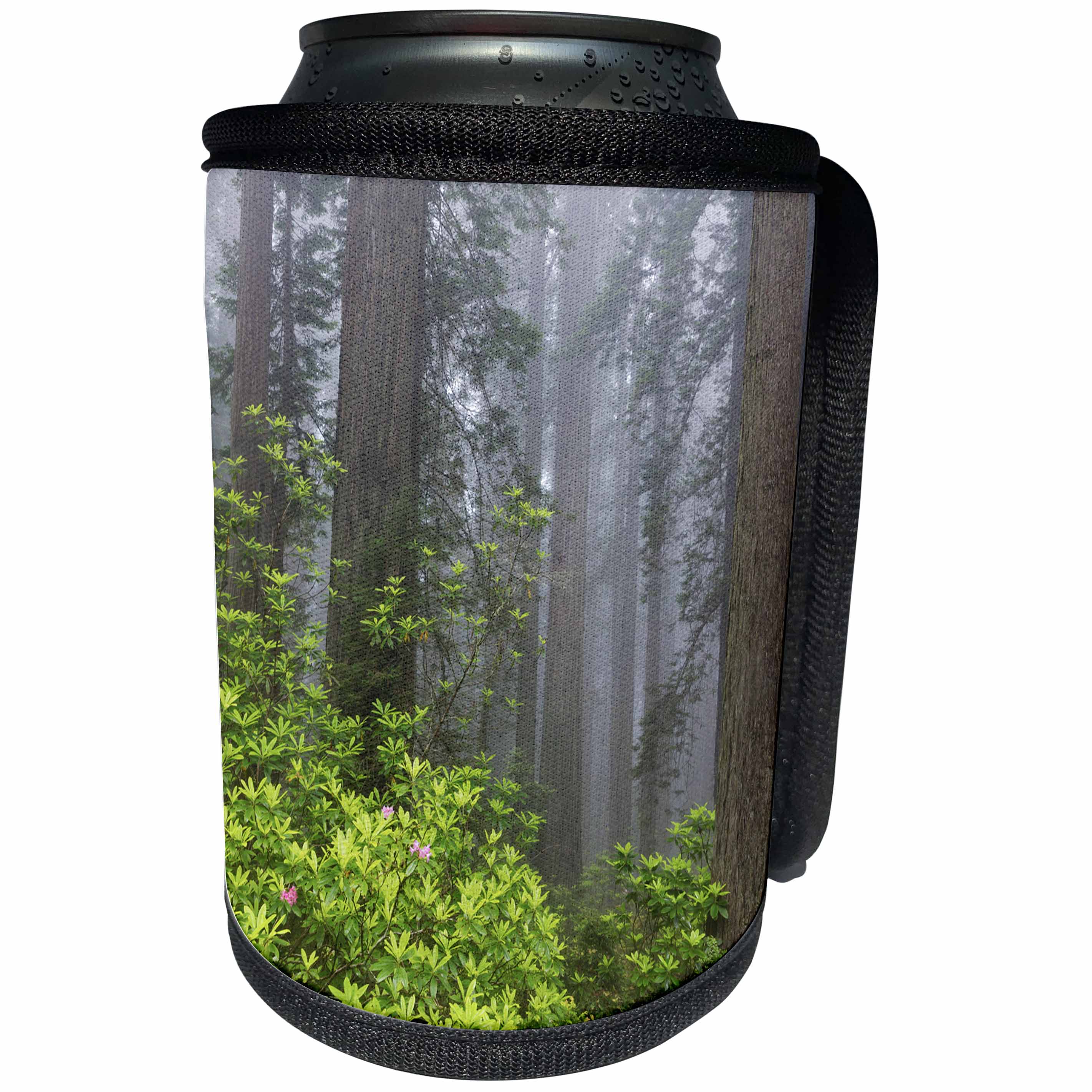 3dRose Danita Delimont - Trees - California, Del Norte Coast Redwoods State Park, redwood forest - Can Cooler Bottle Wrap (cc_258907)