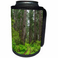 3dRose Danita Delimont - Roads - California, Del Norte Coast, Trail through Redwood forest. - Can Cooler Bottle Wrap (cc_258909)