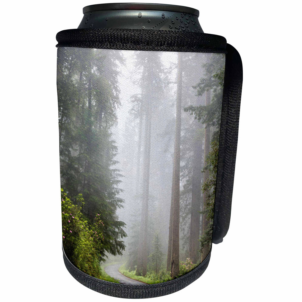 3dRose Danita Delimont - Roads - California, Redwood NP, Lady Bird Johnson, Road through foggy forest. - Can Cooler Bottle Wrap (cc_258910)