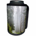 3dRose Danita Delimont - Roads - California, Redwood NP, Lady Bird Johnson, Road through foggy forest. - Can Cooler Bottle Wrap (cc_258910)