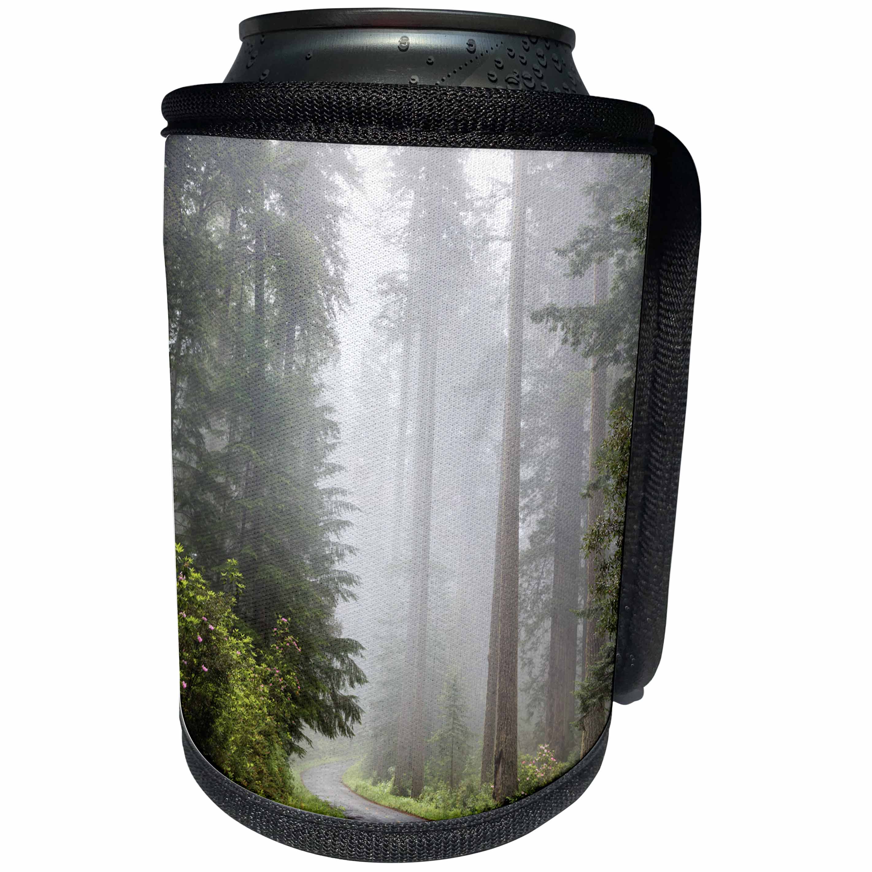 3dRose Danita Delimont - Roads - California, Redwood NP, Lady Bird Johnson, Road through foggy forest. - Can Cooler Bottle Wrap (cc_258910)