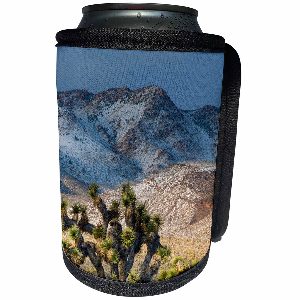 3dRose Danita Delimont - Deserts - Usa, California. Death Valley NP. Joshua Trees in the Snow, Lee Flat - Can Cooler Bottle Wrap (cc_258912)