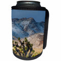 3dRose Danita Delimont - Deserts - Usa, California. Death Valley NP. Joshua Trees in the Snow, Lee Flat - Can Cooler Bottle Wrap (cc_258912)