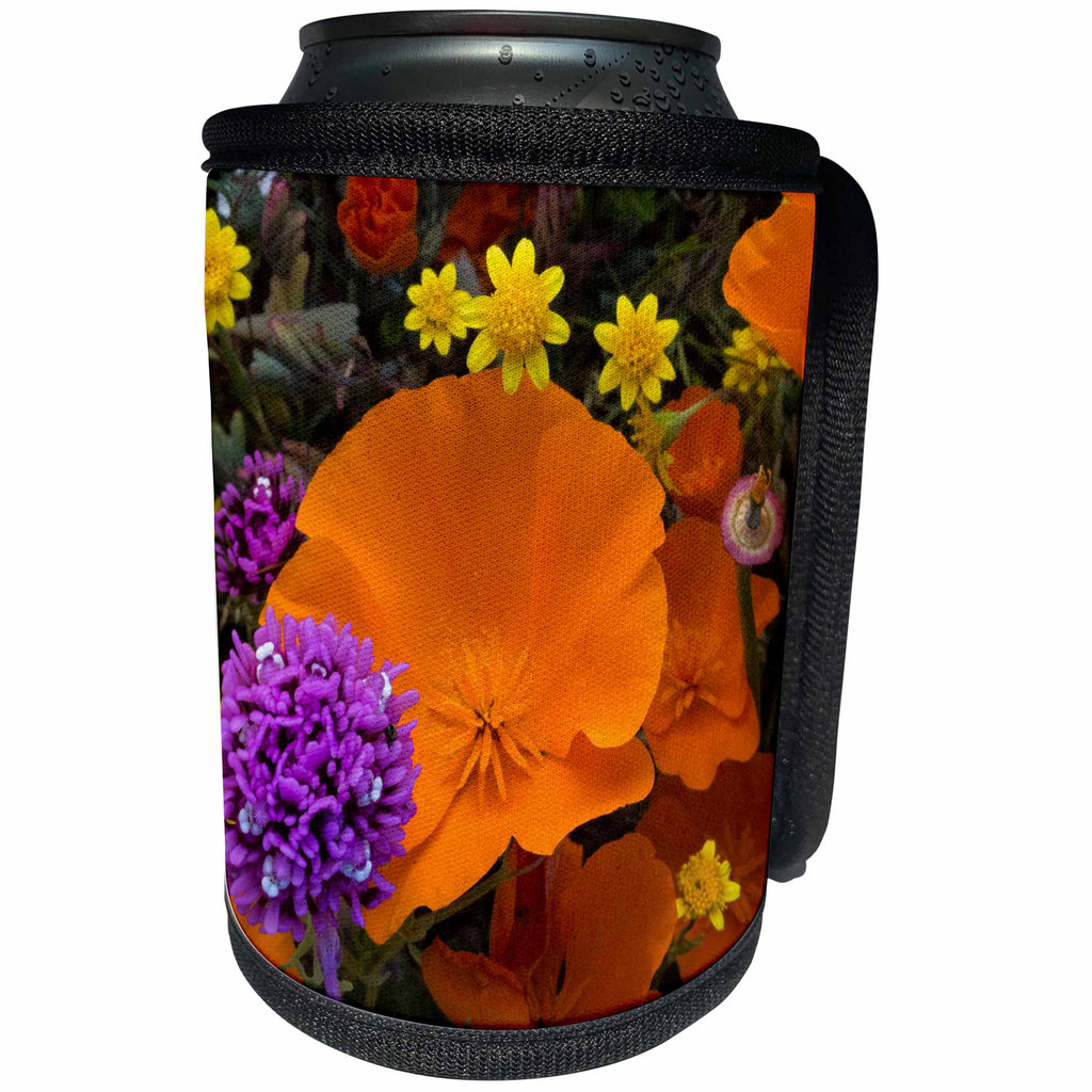 3dRose Danita Delimont - Flowers - California Poppies, Owls Clover, and Goldfields, California, USA - Can Cooler Bottle Wrap (cc_258920)