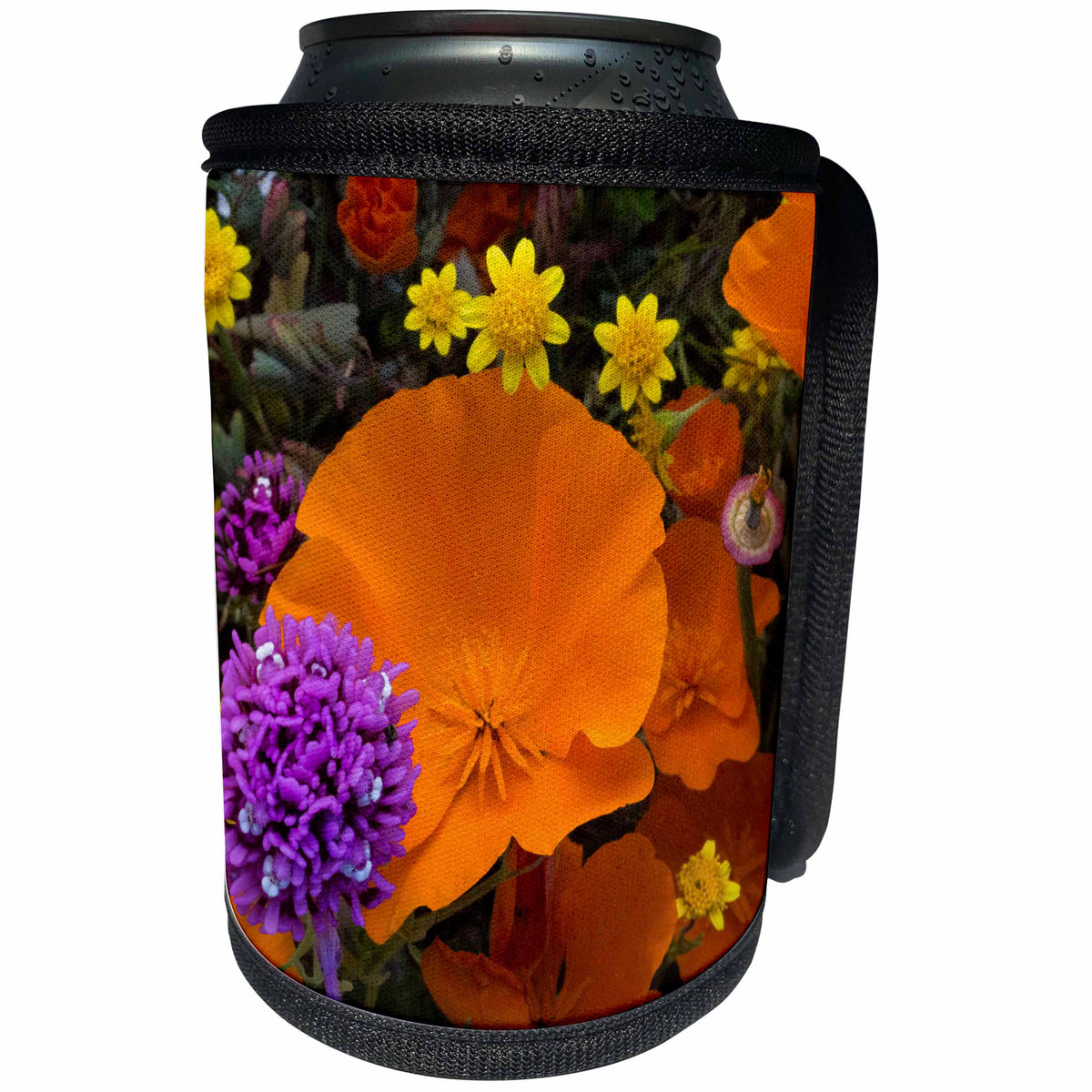 3dRose Danita Delimont - Flowers - California Poppies, Owls Clover, and Goldfields, California, USA - Can Cooler Bottle Wrap (cc_258920)