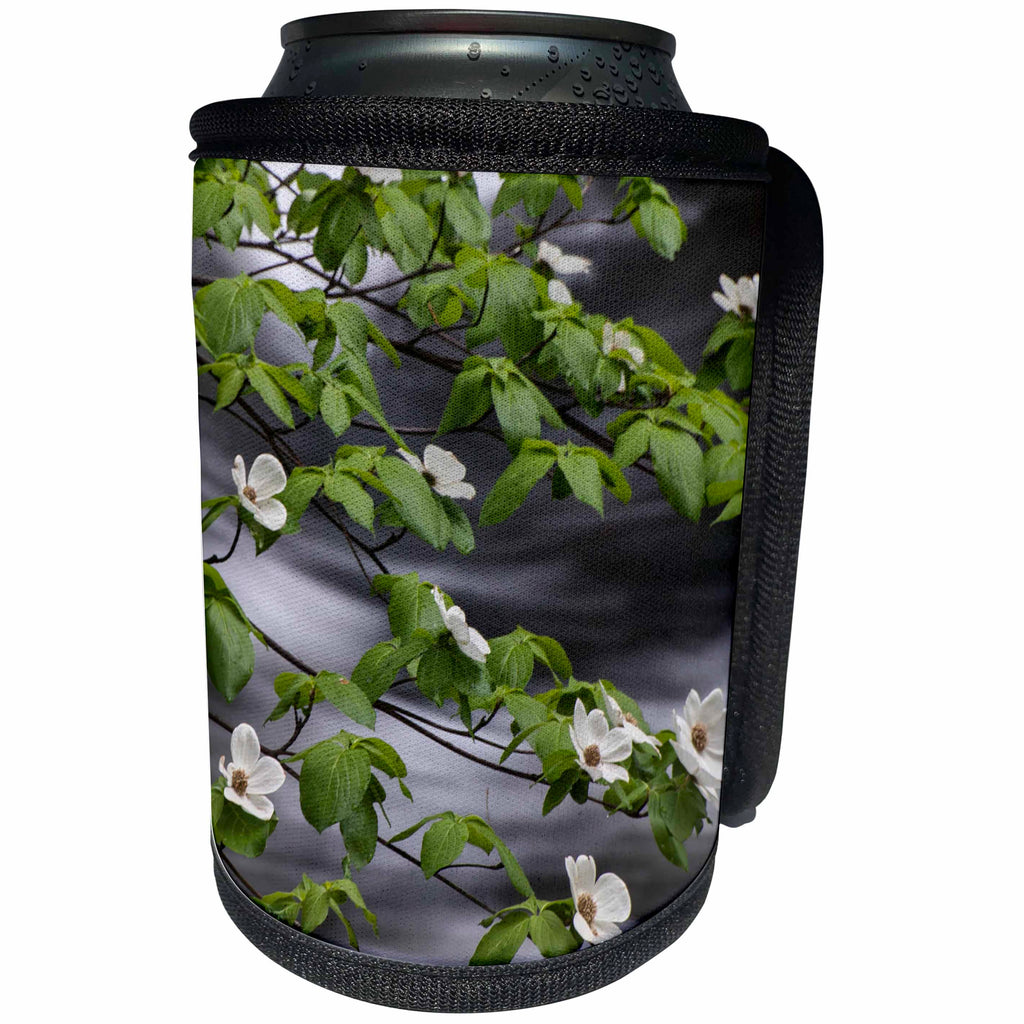 3dRose Danita Delimont - Flowers - Usa, California. Yosemite NP. Dogwood along the Merced River. - Can Cooler Bottle Wrap (cc_258926)