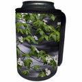 3dRose Danita Delimont - Flowers - Usa, California. Yosemite NP. Dogwood along the Merced River. - Can Cooler Bottle Wrap (cc_258926)