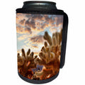 3dRose Danita Delimont - Cactus - Sunset over Cholla Cactus, Mojave Desert, Joshua Tree NP, California - Can Cooler Bottle Wrap (cc_259055)