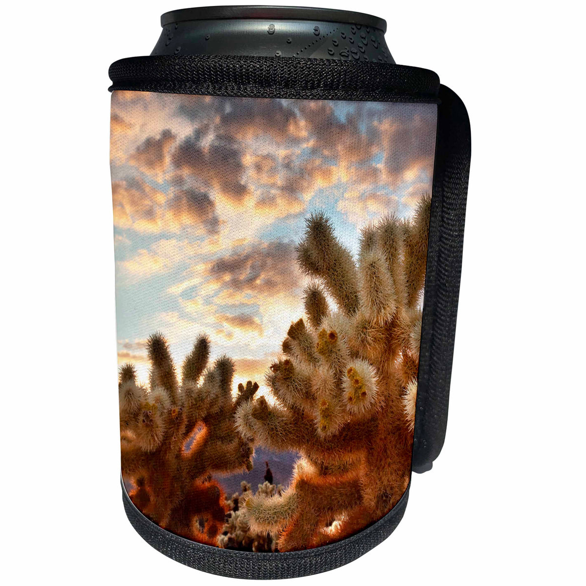 3dRose Danita Delimont - Cactus - Sunset over Cholla Cactus, Mojave Desert, Joshua Tree NP, California - Can Cooler Bottle Wrap (cc_259055)