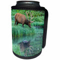 3dRose Danita Delimont - Elk - Colorado, Rocky Mountain NP. Bull elk reflects in Poudre Lake. - Can Cooler Bottle Wrap (cc_259065)