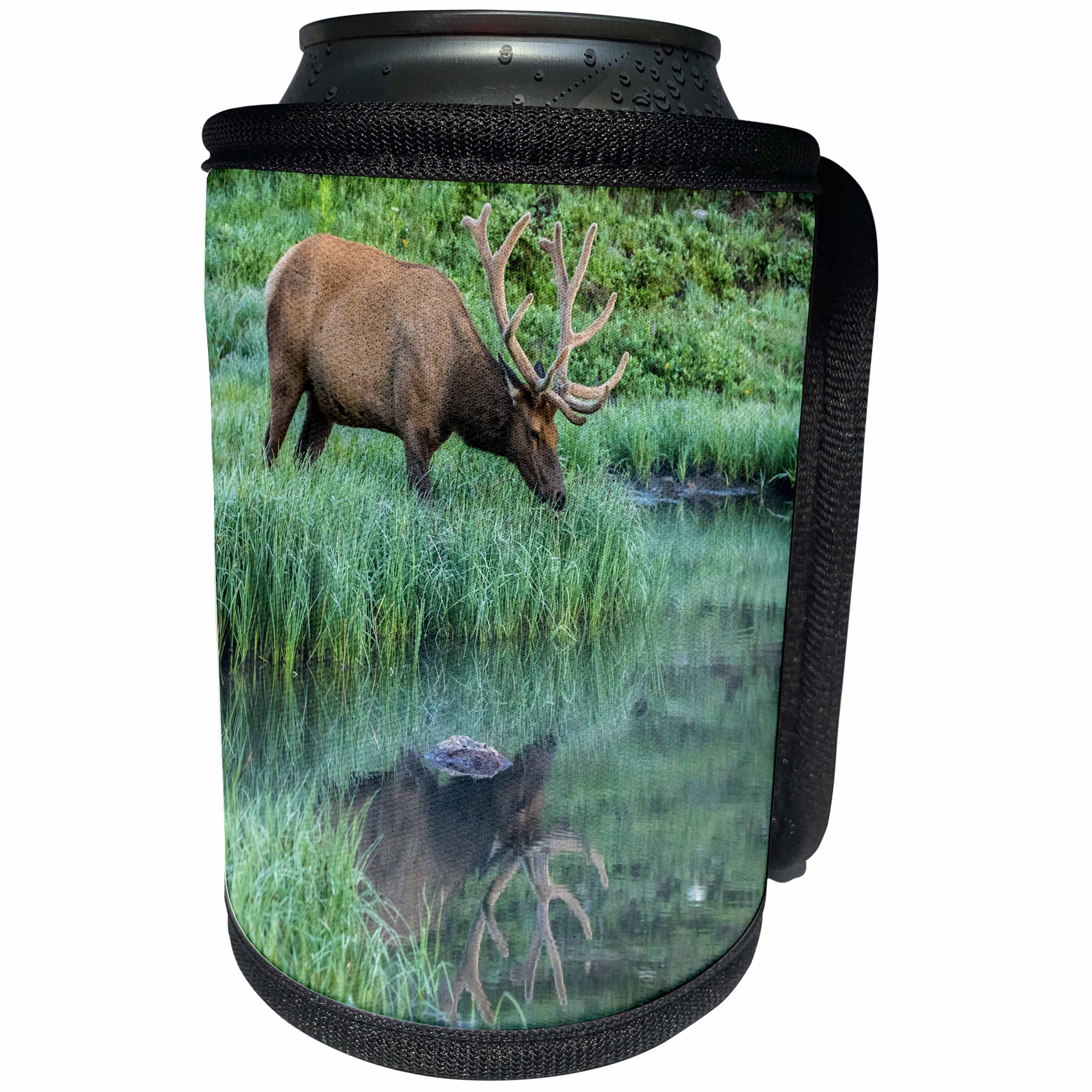 3dRose Danita Delimont - Elk - Colorado, Rocky Mountain NP. Bull elk reflects in Poudre Lake. - Can Cooler Bottle Wrap (cc_259065)