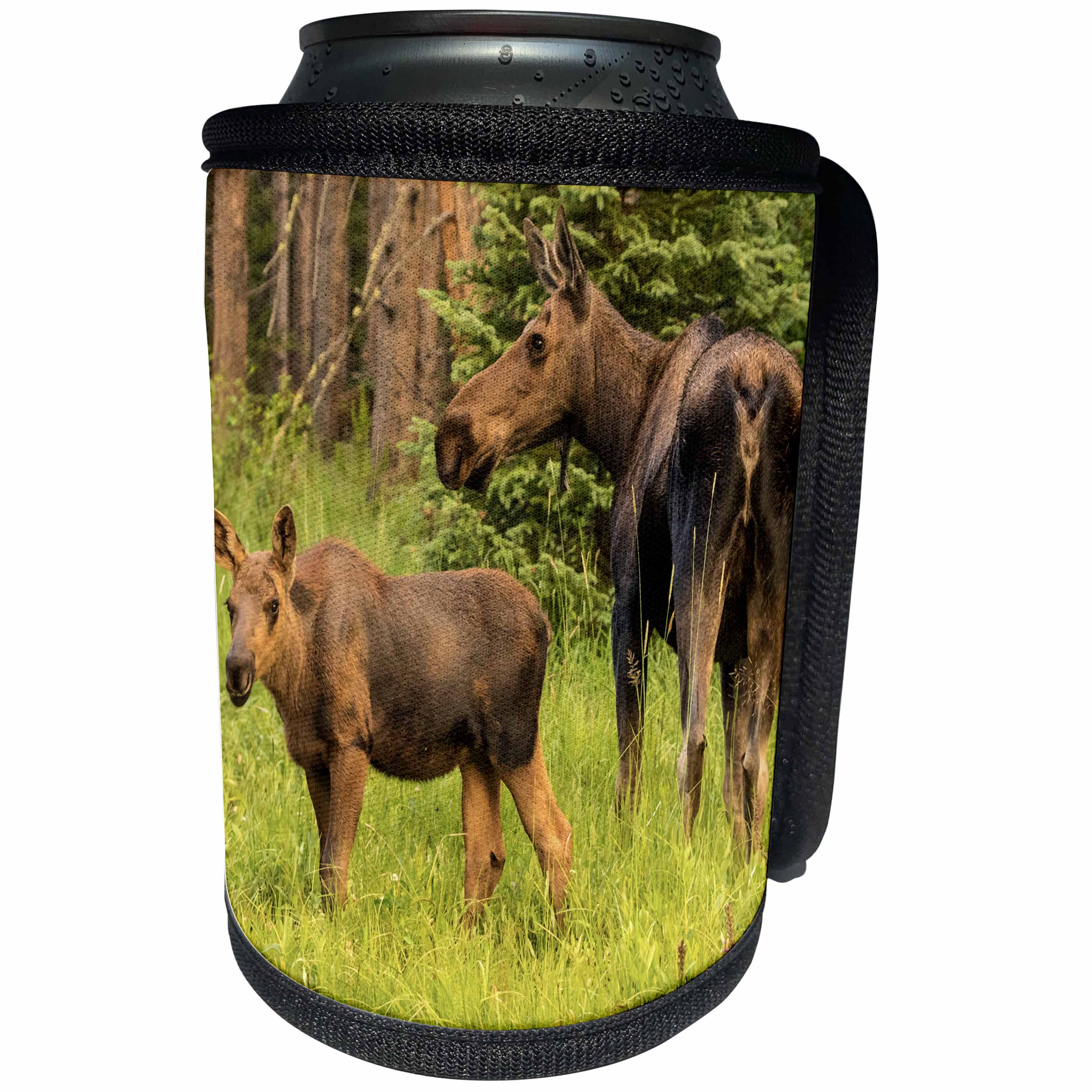 3dRose Danita Delimont - Moose - USA, Colorado, Rocky Mountain National Park. Cow moose and calf. - Can Cooler Bottle Wrap (cc_259067)