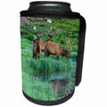 3dRose Danita Delimont - Elk - USA, Colorado, Rocky Mountain National Park. Bull elks and Poudre Lake - Can Cooler Bottle Wrap (cc_259069)