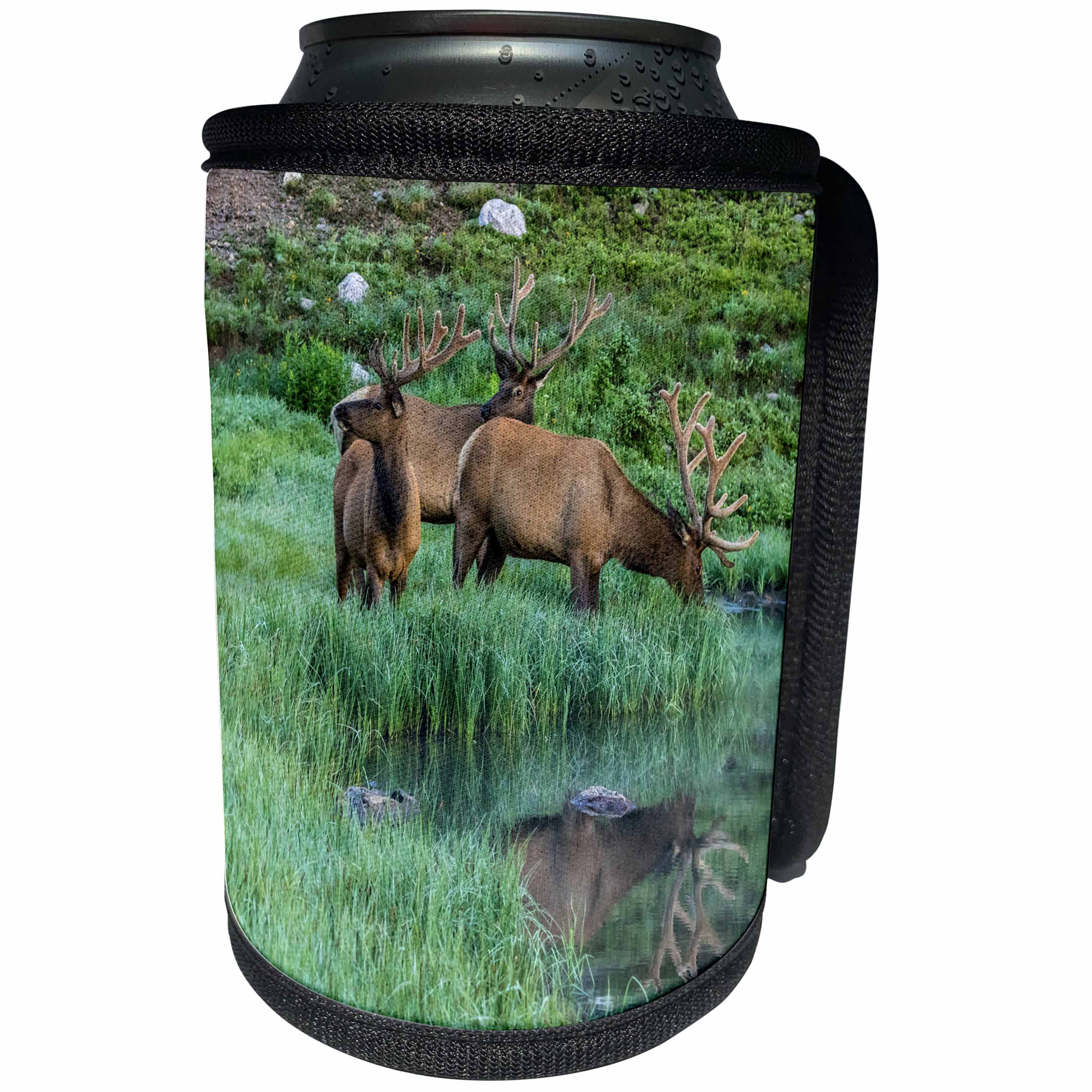 3dRose Danita Delimont - Elk - USA, Colorado, Rocky Mountain National Park. Bull elks and Poudre Lake - Can Cooler Bottle Wrap (cc_259069)