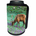 3dRose Danita Delimont - Elk - Colorado, Rocky Mountain NP. Bull elk grazing in flower meadow. - Can Cooler Bottle Wrap (cc_259070)