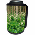 3dRose Danita Delimont - Flowers - USA, Colorado, Rocky Mountains. Cow parsnip in aspen grove. - Can Cooler Bottle Wrap (cc_259073)