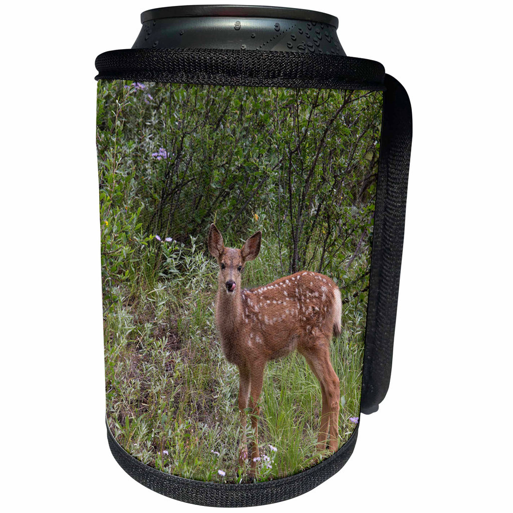 3dRose Danita Delimont - Deer - USA, Colorado, Woodland Park. Mule deer fawn. - Can Cooler Bottle Wrap (cc_259076)