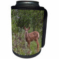 3dRose Danita Delimont - Deer - USA, Colorado, Woodland Park. Mule deer fawn. - Can Cooler Bottle Wrap (cc_259076)
