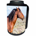 3dRose Danita Delimont - Horses - USA, Colorado, Sand Wash Basin. Profile of wild stallion. - Can Cooler Bottle Wrap (cc_259077)