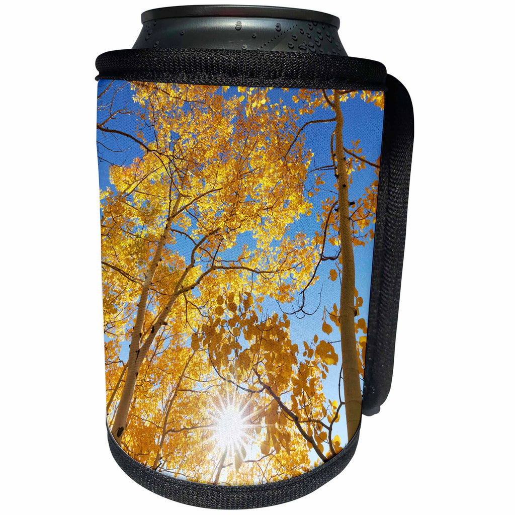 3dRose Danita Delimont - Trees - USA, Colorado, San Juan Mountains. Aspen trees in autumn color - Can Cooler Bottle Wrap (cc_259080)
