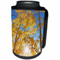 3dRose Danita Delimont - Trees - USA, Colorado, San Juan Mountains. Aspen trees in autumn color - Can Cooler Bottle Wrap (cc_259080)