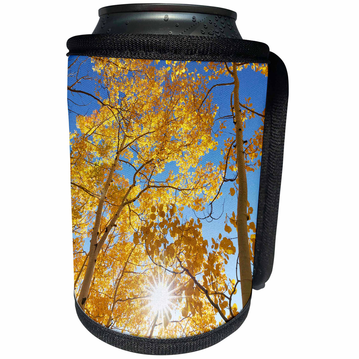 3dRose Danita Delimont - Trees - USA, Colorado, San Juan Mountains. Aspen trees in autumn color - Can Cooler Bottle Wrap (cc_259080)