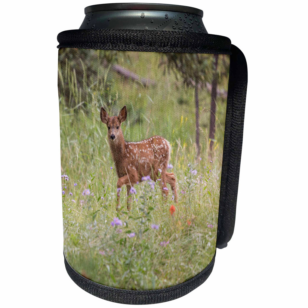 3dRose Danita Delimont - Deer - USA, Colorado, Woodland Park. Mule deer fawn in meadow. - Can Cooler Bottle Wrap (cc_259086)