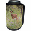 3dRose Danita Delimont - Deer - USA, Colorado, Woodland Park. Mule deer fawn in meadow. - Can Cooler Bottle Wrap (cc_259086)
