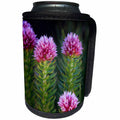 3dRose Danita Delimont - Flowers - USA, Colorado, Mt. Evans. Close-up of Queens Crown flowers. - Can Cooler Bottle Wrap (cc_259089)