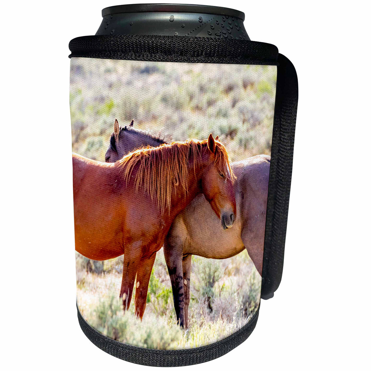 3dRose Danita Delimont - Horses - USA, Colorado, Sand Wash Basin. Close-up of wild horses. - Can Cooler Bottle Wrap (cc_259099)